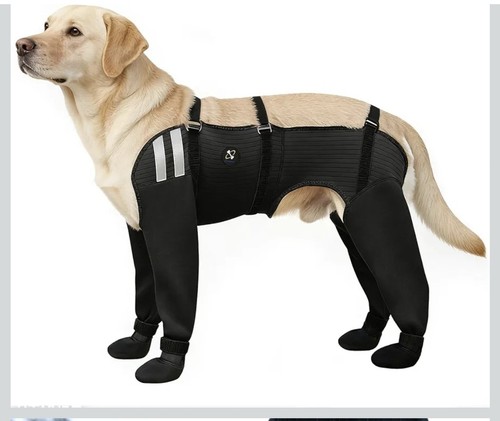 Dog socks for all - socks, 4