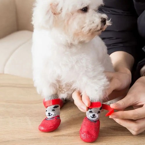Dog shoes socks waterproof - shoes,
