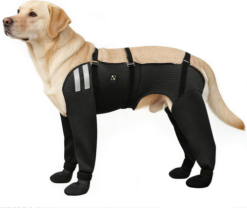 Dog socks for - socks, 4