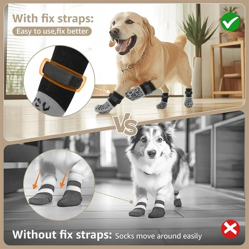 Pack anti slip - dog, socks