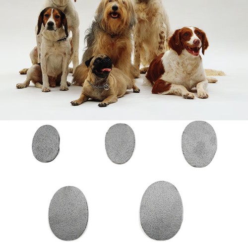Pet dog insoles - dog, socks