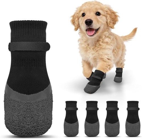 Paw protector dog - paw,