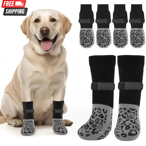 Pack anti slip - anti-slip, dog