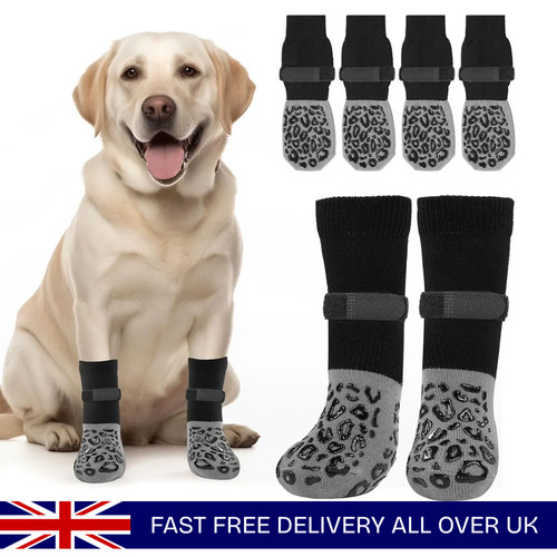 Pack anti slip - 4-pack, dog