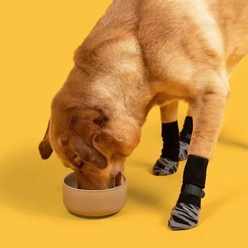 Pack anti slip dog - anti-slip,