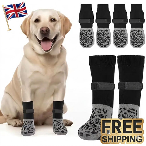 Pack anti slip - 4-pack, dog