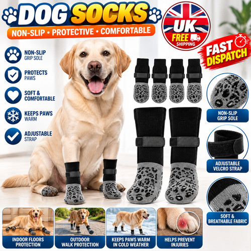 Pack anti slip - dog, socks