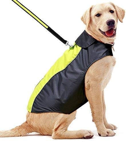 Yfbrite waterproof dog - waterproof,