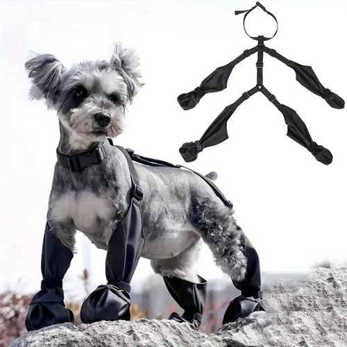 Waterproof dog shoes - dog,